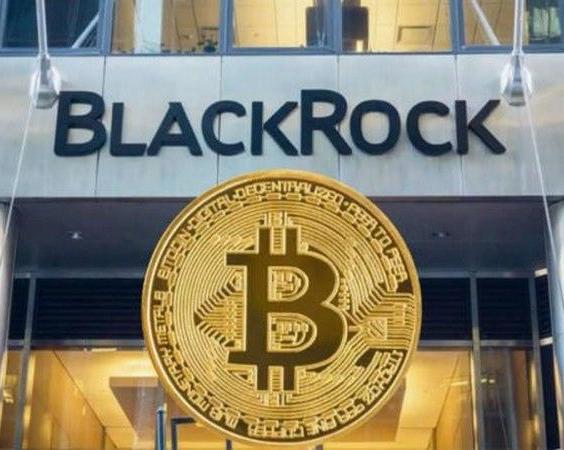 BlackRock становится лидером на рынке криптовалютных ETF / Финансы и криптовалюты / iXBT Live